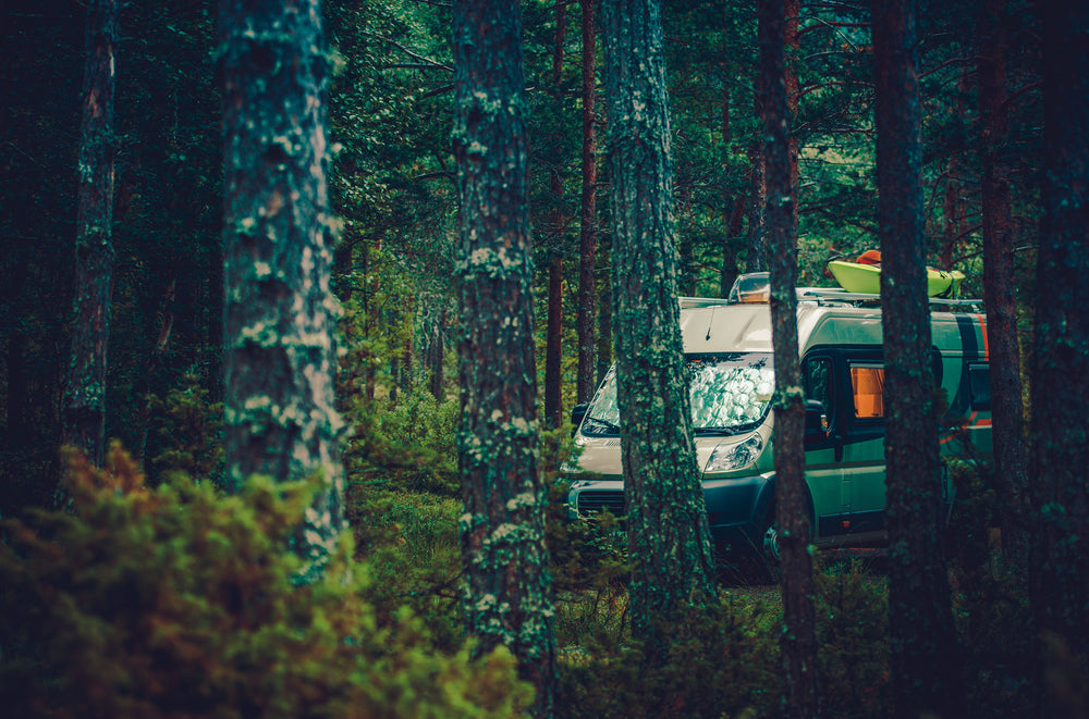 What Do You Prefer: Camping in an RV or Staying in a Tent?